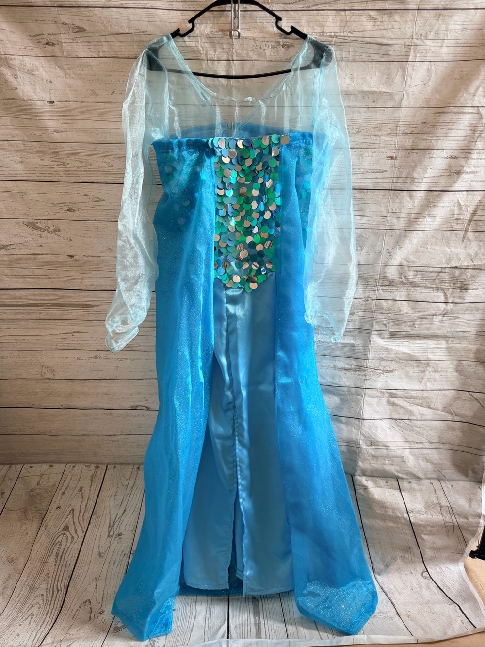 Adult Handmade Elsa Costume Dress